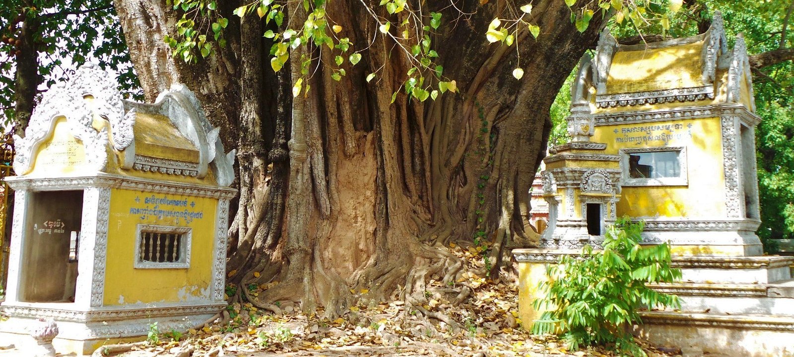 Cambodia Gravel Cycling Holiday